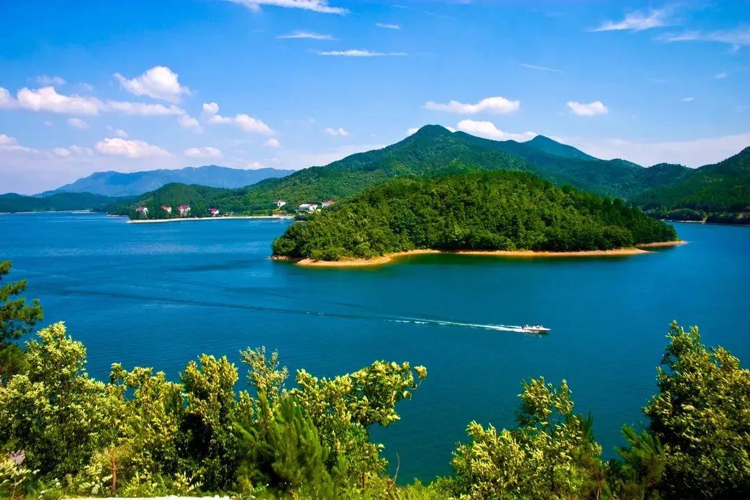 理财买基金本金会亏本吗（理财买基金亏了）