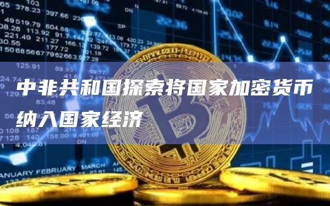 中非共和国探索将国家加密货币纳入国家经济