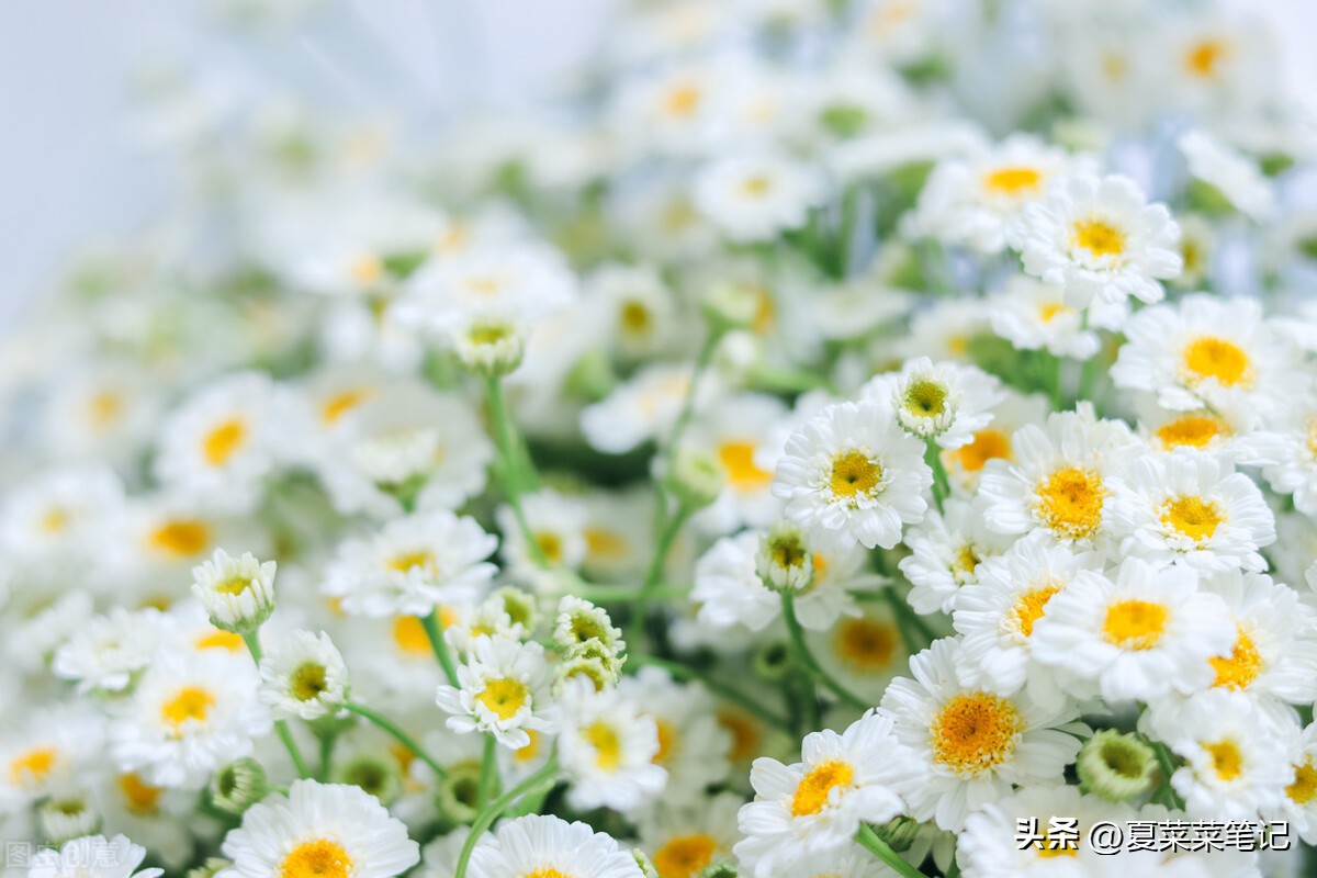 怎样在微视频上挣钱（微视视频怎么挣钱一天能挣多少）