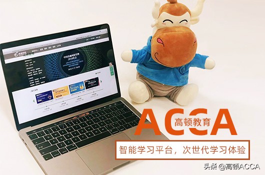 高顿acca学费价目表（高顿教育网课acca学费多少钱）