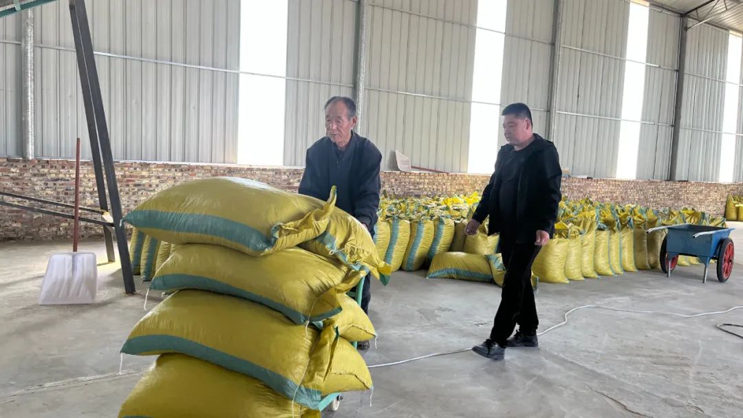 玉米压片好卖吗（玉米压片好卖吗多少钱）