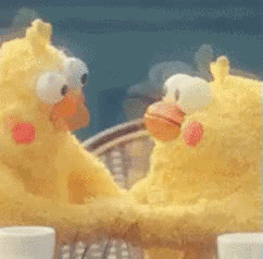 股票高级训练营（股票理财训练营）