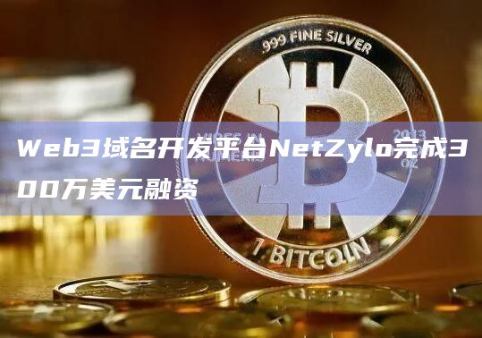Web3域名开发平台NetZylo完成300万美元融资插图 Web3域名开发平台NetZylo完成300万美元融资