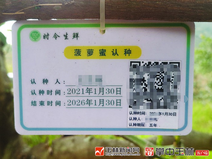 果园农场（果园农场游戏）