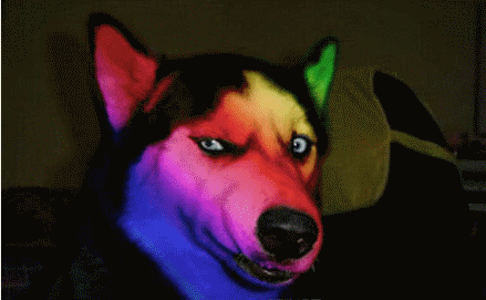 股票高级训练营（股票理财训练营）