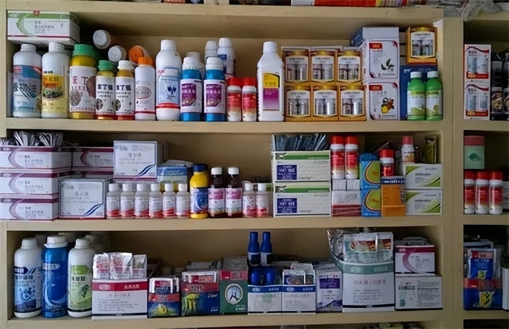 当今最赚钱的小本生意（当今最赚钱的小本生意有哪些）