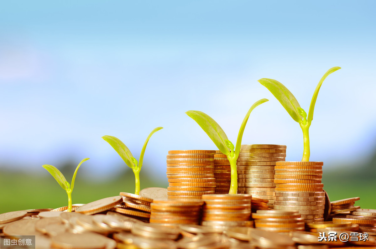 投资基金知识点汇总（投资基金的基本知识）