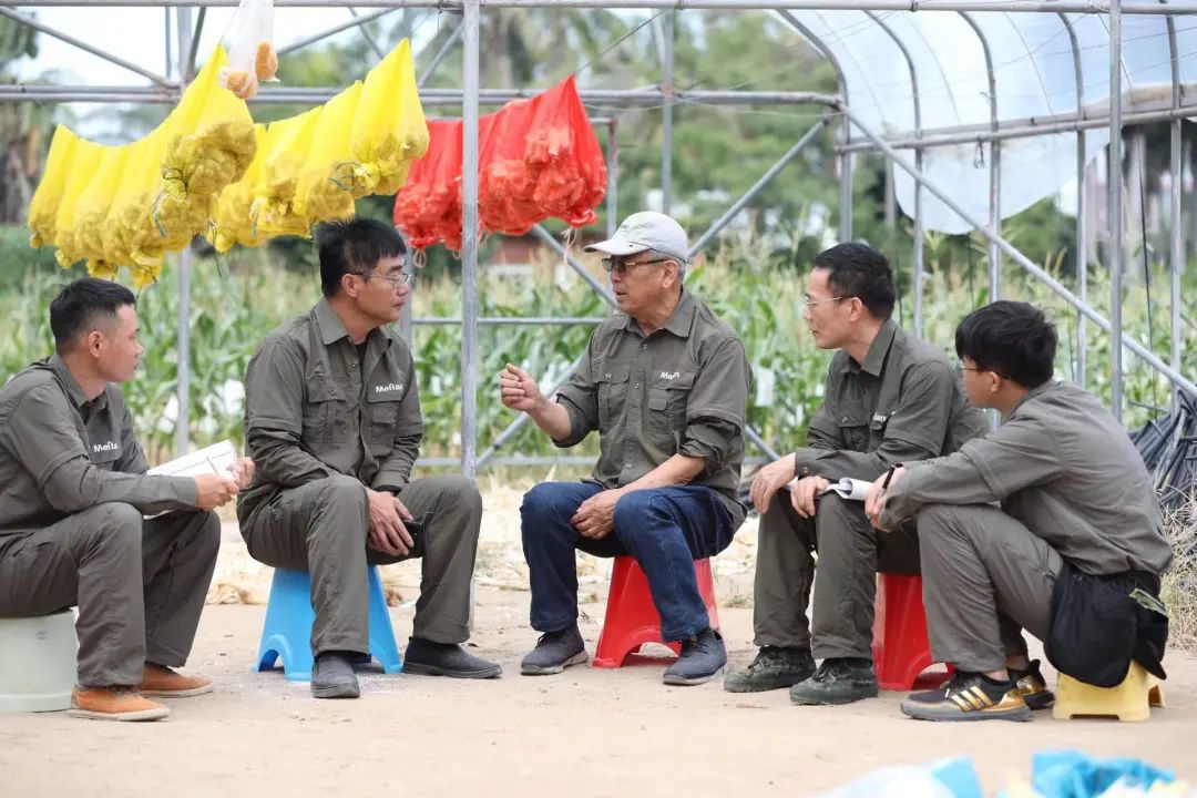 玉米深加工加盟办厂(鲜玉米加工厂加盟)插图4 玉米深加工加盟办厂(鲜玉米加工厂加盟)