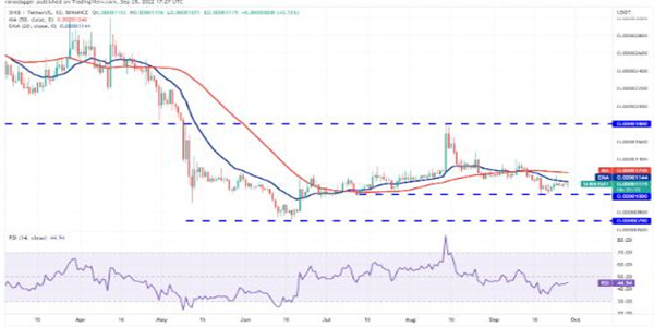 SHIB最新价格是多少 屎币今日最新行情插图2 SHIB最新价格是多少 屎币今日最新行情