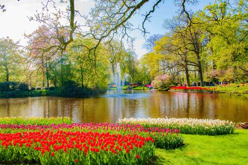 荷兰面积相当于中国哪个省市（荷兰总面积相当于中国哪个省）