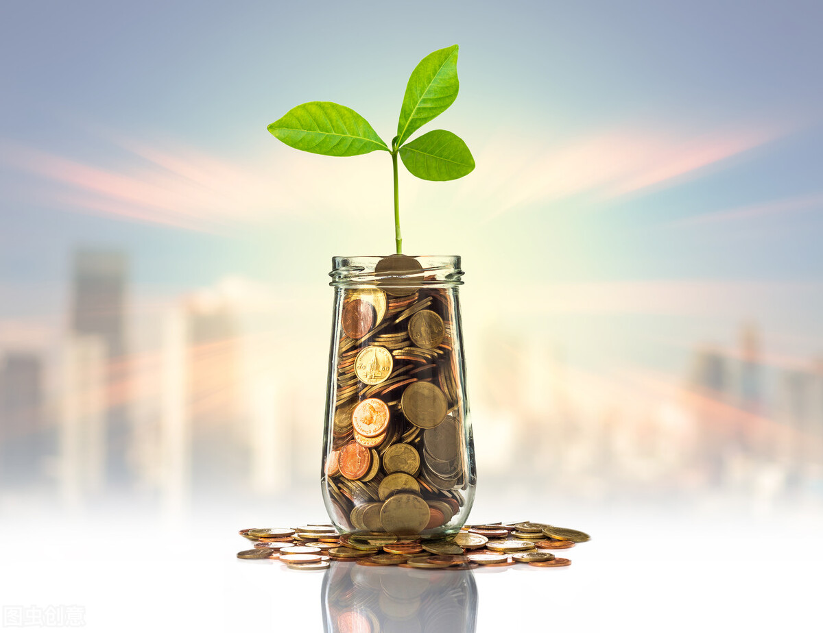 怎么选基金新手入门（新手怎么选择新基金）