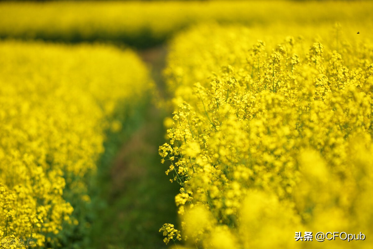 复利现值系数公式（复利现值系数公式推导）