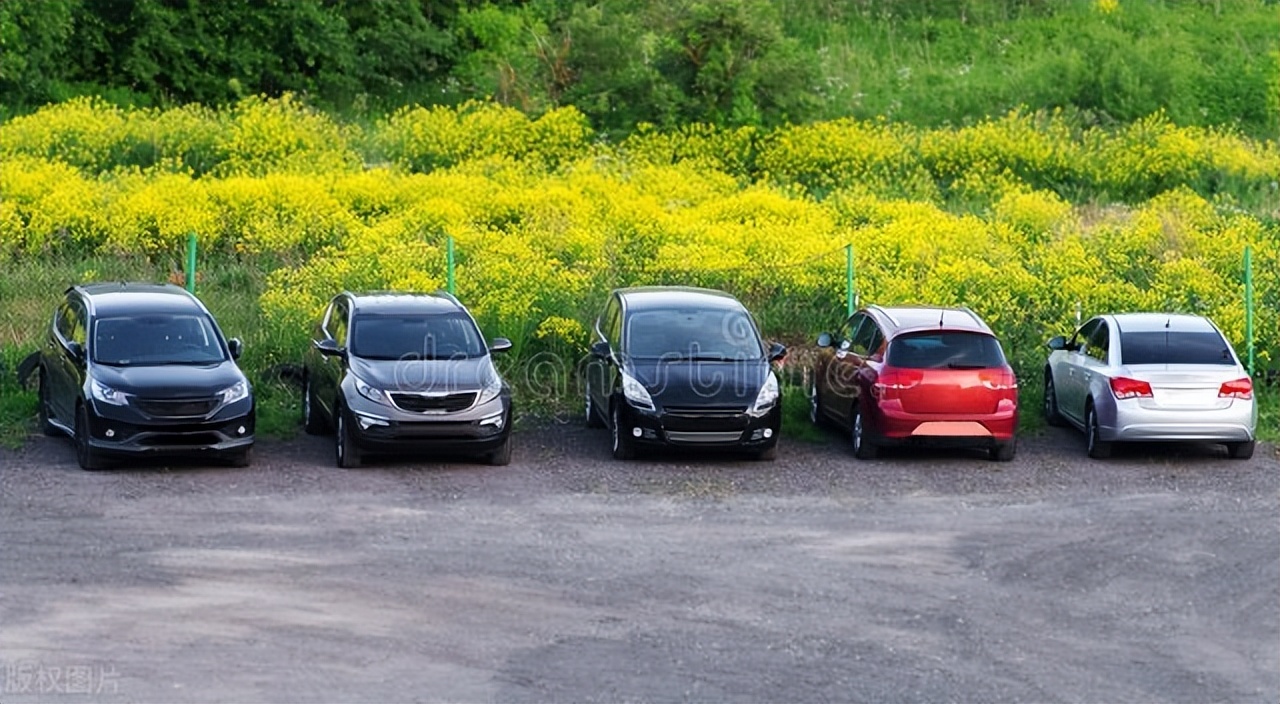 现在什么东西最赚钱（什么东东赚钱最快）