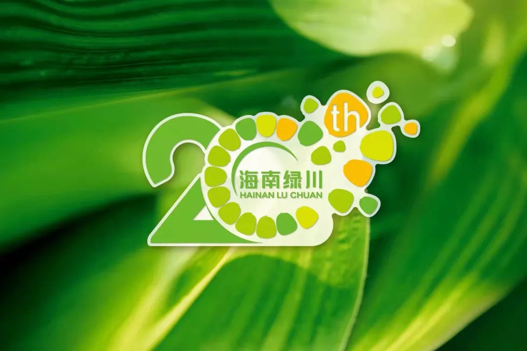 玉米深加工加盟办厂(鲜玉米加工厂加盟)插图 玉米深加工加盟办厂(鲜玉米加工厂加盟)