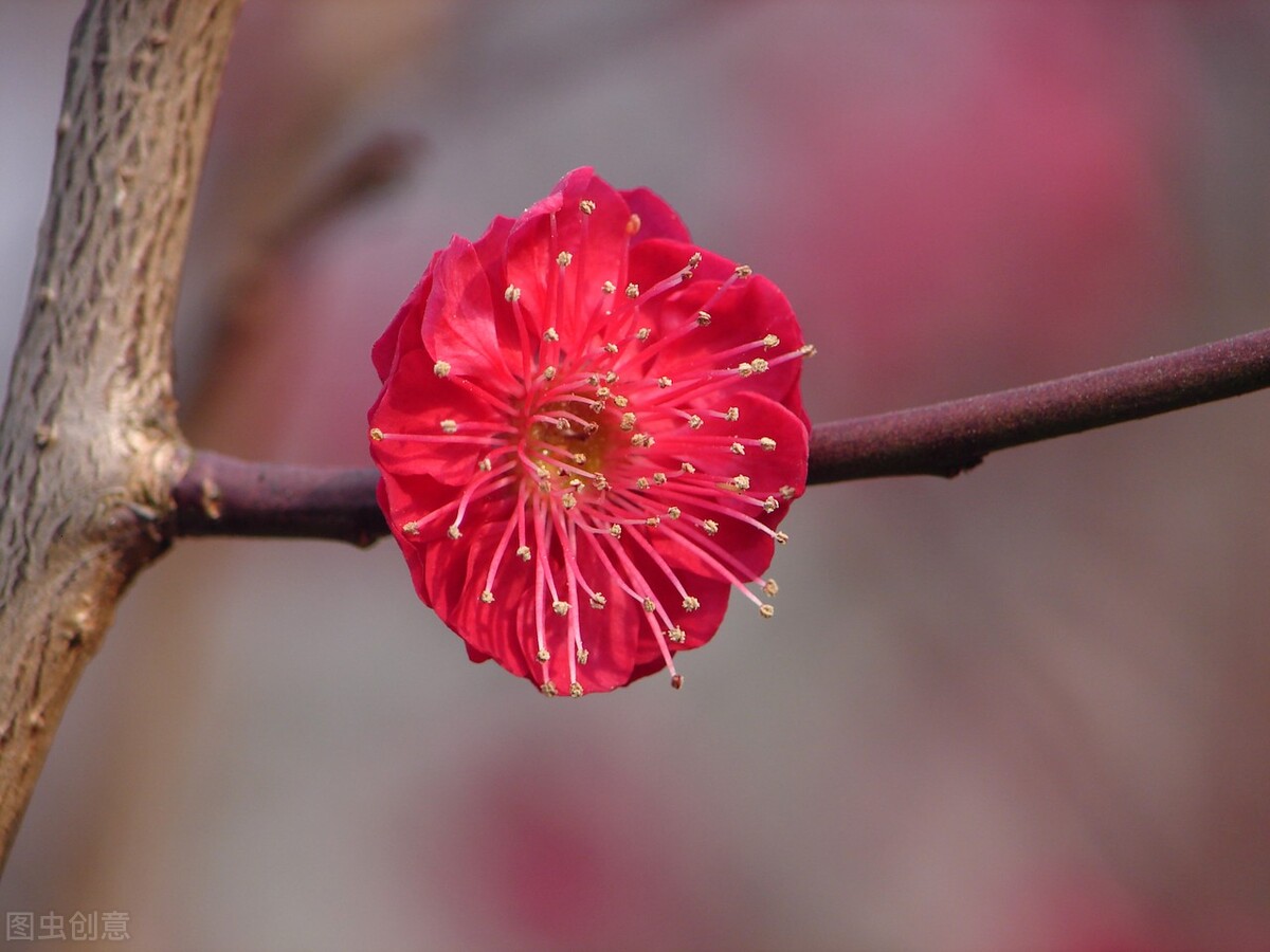 考基金从业资格证看什么书（考基金从业资格证看什么书籍）