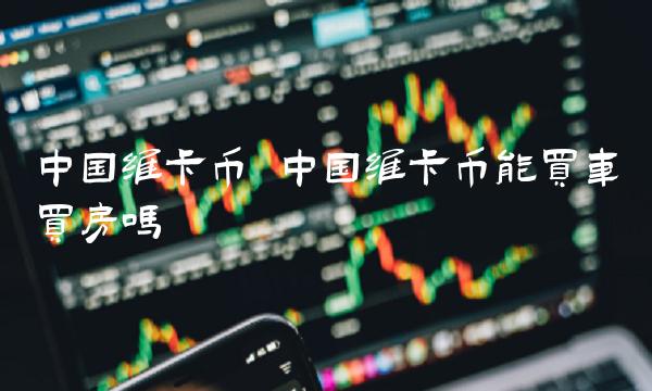 中国维卡币能买车买房吗插图 中国维卡币能买车买房吗