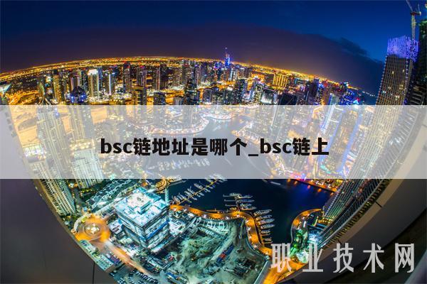 bsc链地址是哪个_bsc链上插图 bsc链地址是哪个_bsc链上
