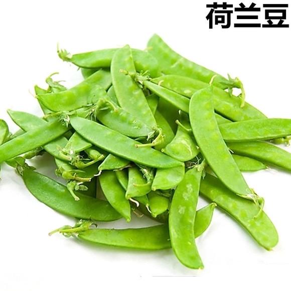 荷兰面积相当于中国哪个省市（荷兰总面积相当于中国哪个省）