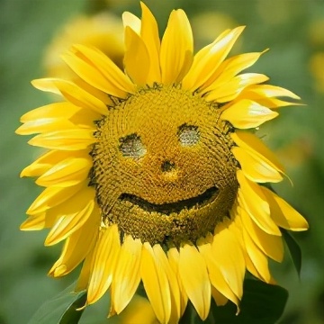 浙江天使投资人（浙江天使投资人是谁）