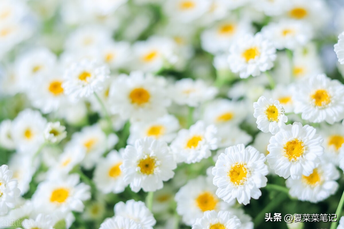 怎样在微视频上挣钱（微视视频怎么挣钱一天能挣多少）