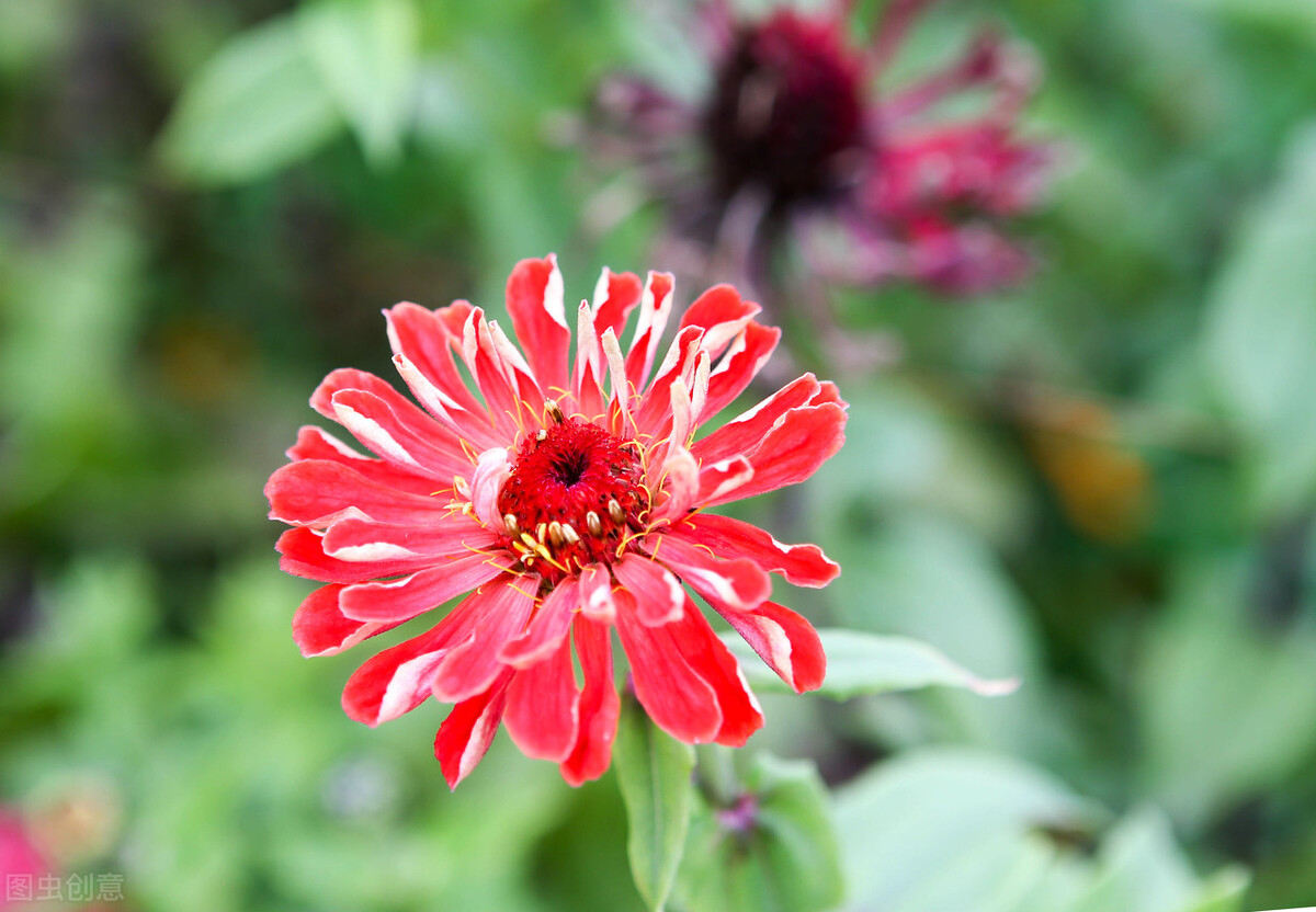 考基金从业资格证看什么书（考基金从业资格证看什么书籍）