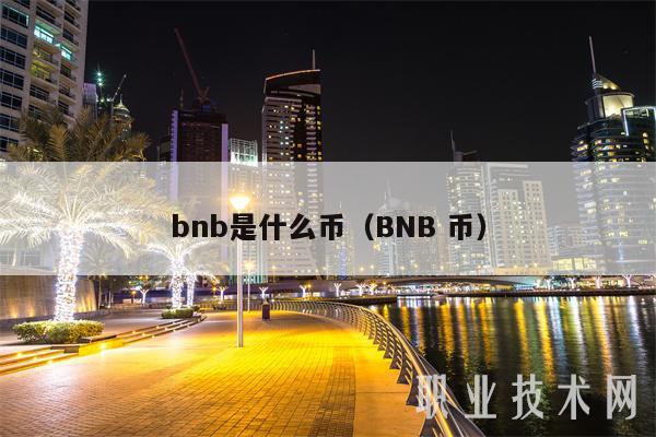 bnb是什么币(BNB 币)插图 bnb是什么币(BNB 币)