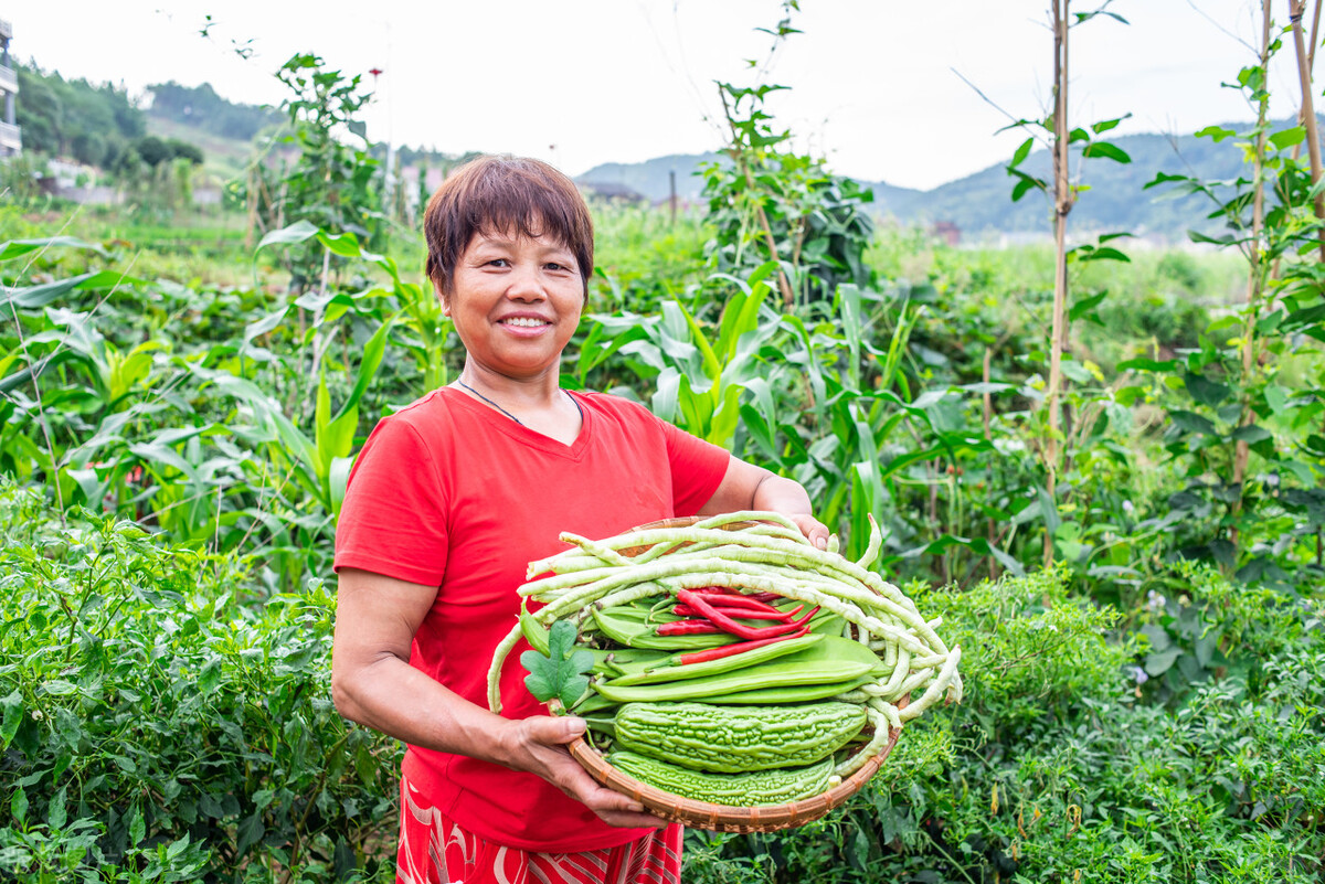 现在什么东西最赚钱（什么东东赚钱最快）