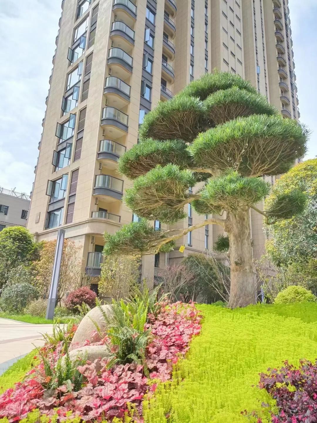 1万元股票进出要多少手续费（1万元买股票要多少手续费）