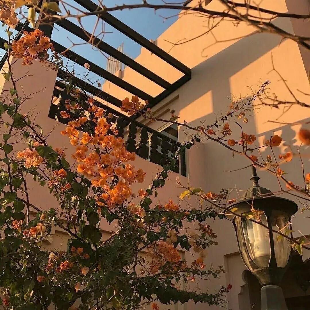 注销信用卡后果严重（注销信用卡后果严重办理）