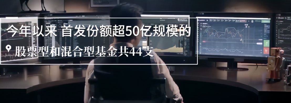 基金和股票哪个更容易赚钱（基金和股票哪个更容易赚钱贴吧）