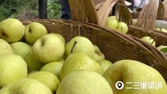 生态果园图片（生态果园图片大全）