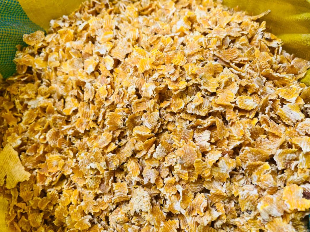 玉米压片好卖吗（玉米压片好卖吗多少钱）