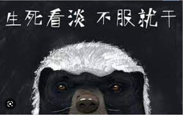 Web2到Web3 上海到硅谷 我的转型之路分享