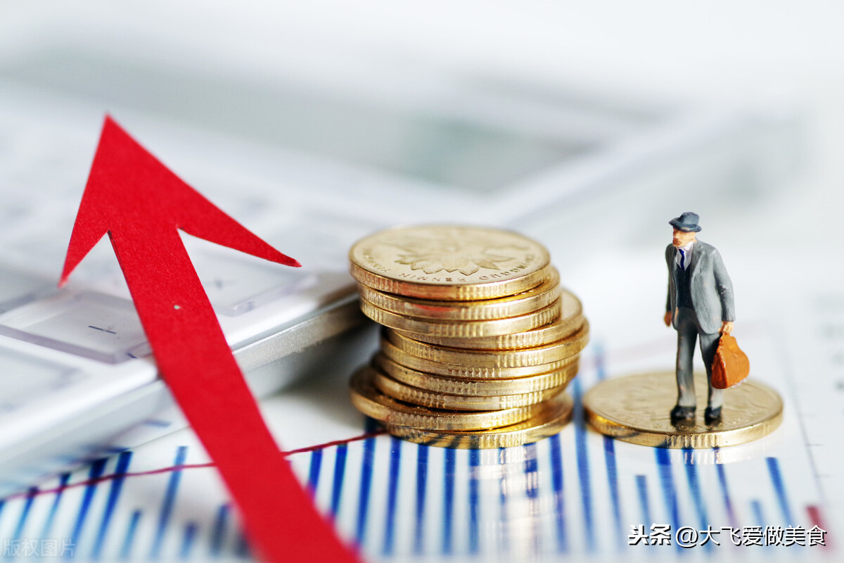 新手怎样了解基金（基金怎么玩 新手如何入手）