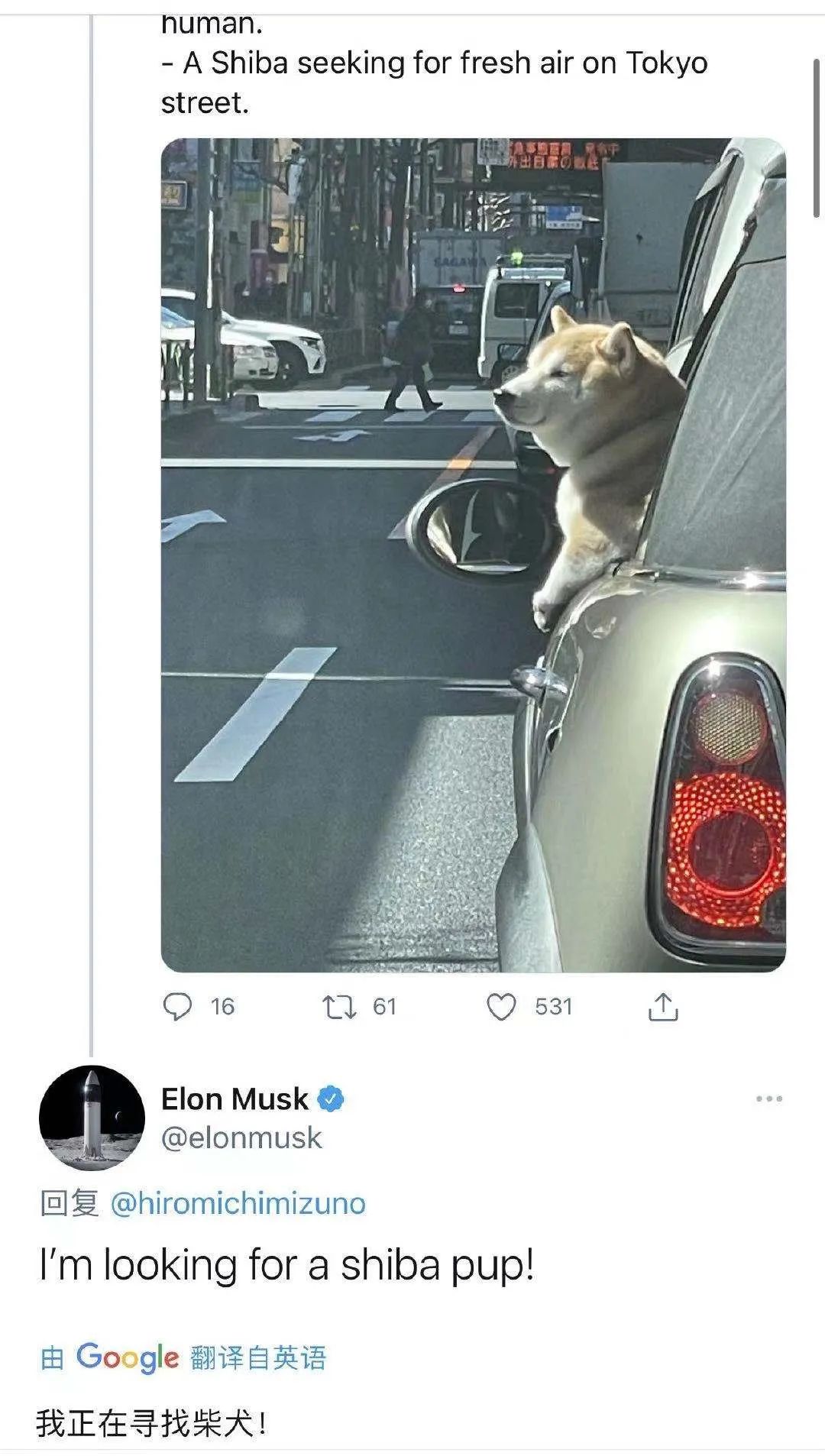 屎币(屎币能涨到1美元吗)插图2 屎币(屎币能涨到1美元吗)