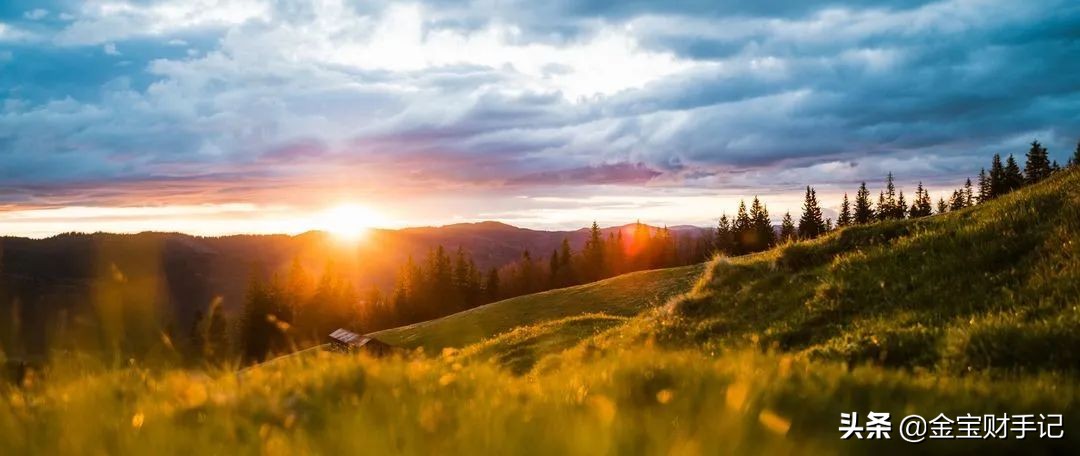 买基金的诀窍和方法有哪些（买基金最简单的方法）