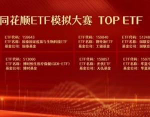 基金大赛如何投资(基金定投大赛)插图 基金大赛如何投资(基金定投大赛)