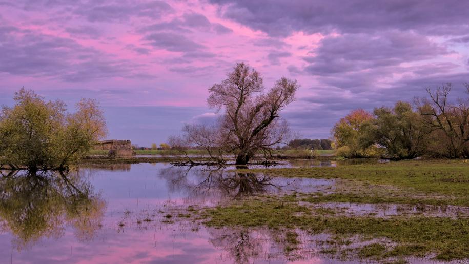 2020基金从业报名和考试时间（基金从业报名2020时间及考试时间）