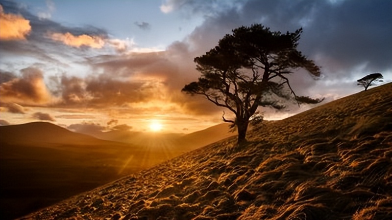 水滴筹的钱可以全部拿到吗（水滴筹到底能不能筹到钱）