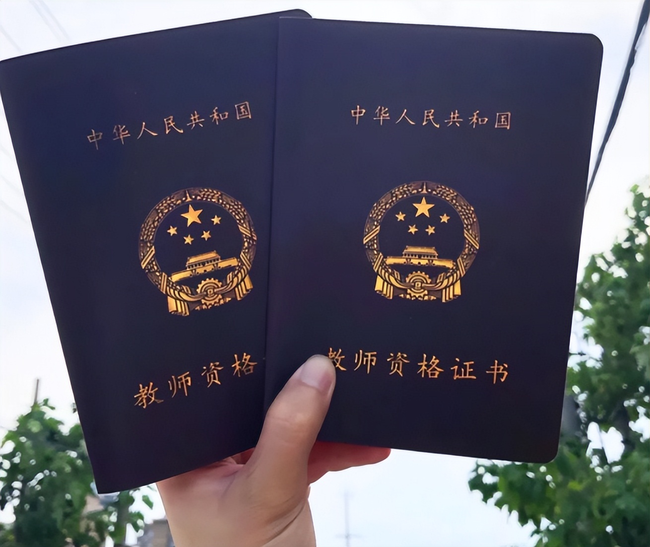 大学生最容易考的证书（大学生比较容易考的证书）