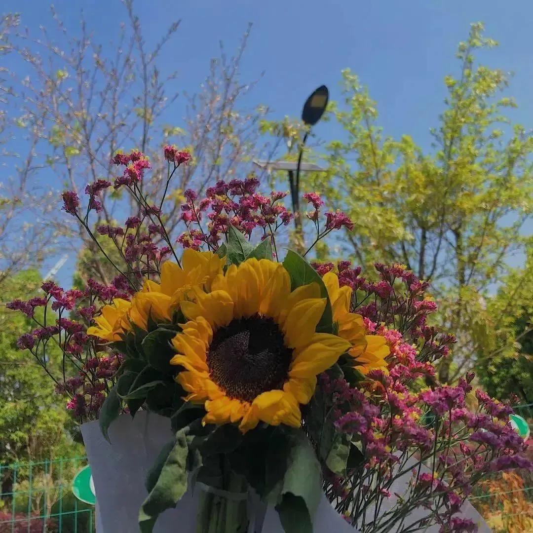 注销信用卡后果严重（注销信用卡后果严重办理）