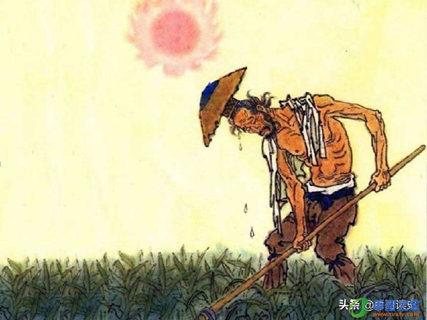 锄禾日当午的作者（锄禾日当午的作者李绅结局）