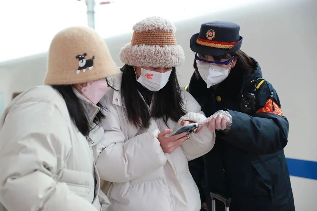 宠物可以上高铁吗（顺丰托运宠物价格表）