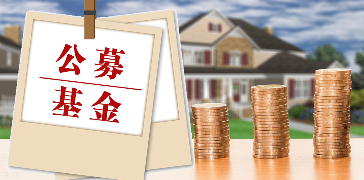 基金怎么玩才能赚钱视频教程（如何赚基金）