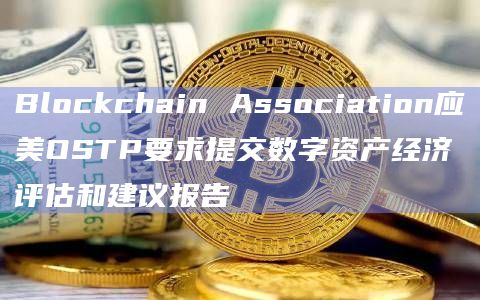 Blockchain Association应美OSTP要求提交数字资产经济评估和建议报告插图 Blockchain Association应美OSTP要求提交数字资产经济评估和建议报告