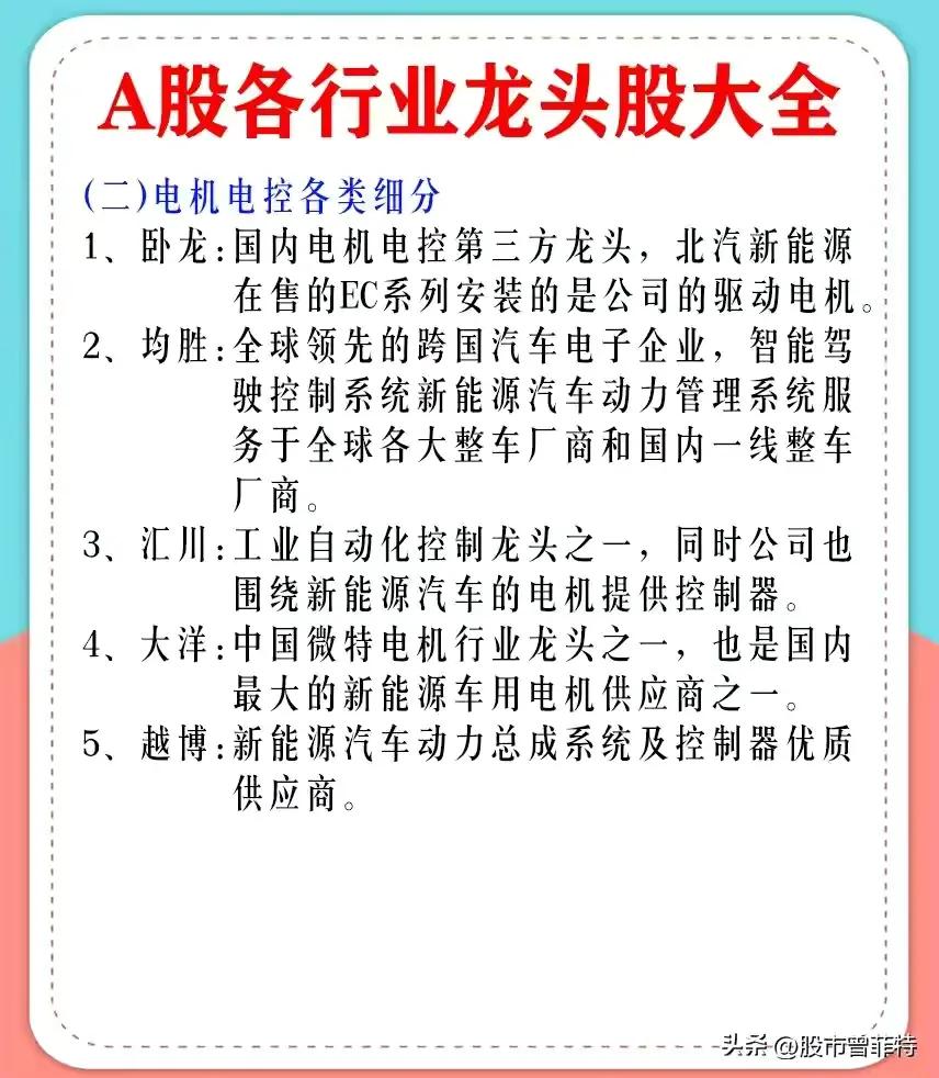 龙头股票有哪些（券商龙头股票有哪些）