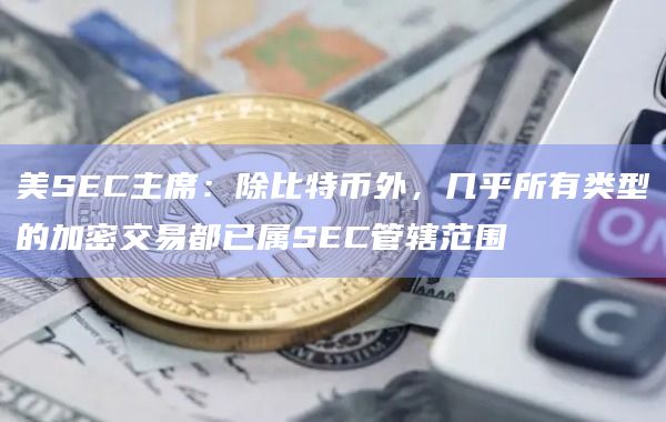 美SEC主席：除比特币外，几乎所有类型的加密交易都已属SEC管辖范围