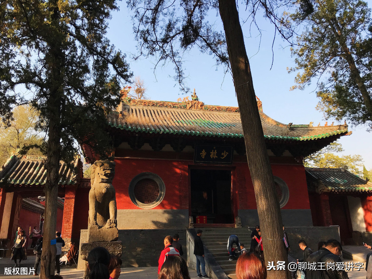 青蒿草农村叫什么（青蒿治疗皮肤病效果如何）