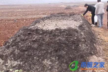 放线菌的繁殖方式（放线菌的繁殖方式主要是颜值）