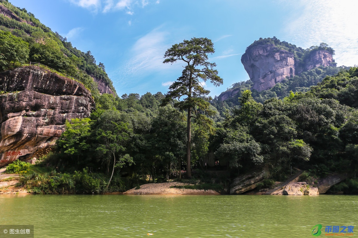 大红袍属于哪类茶（大红袍茶）